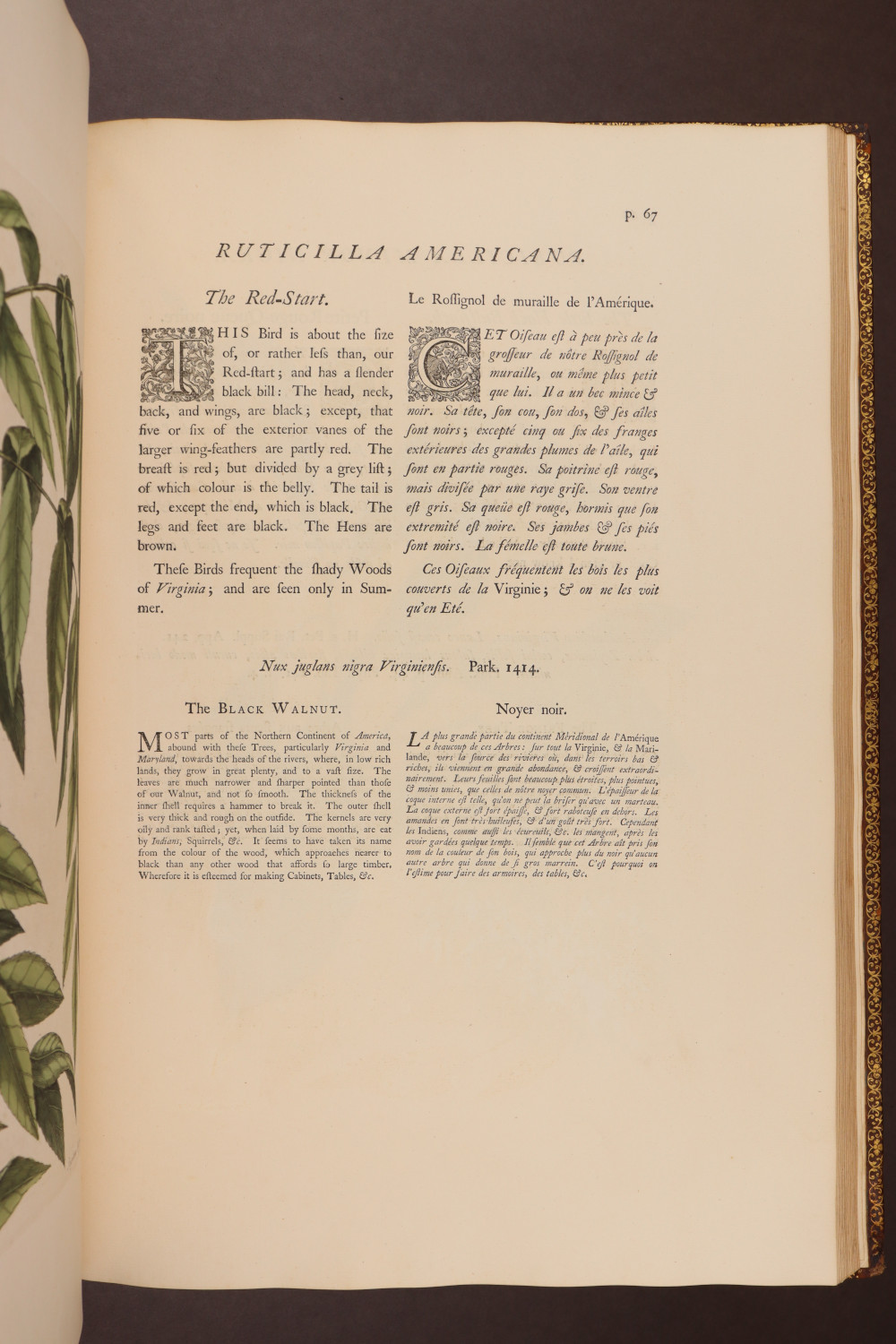 Page 67